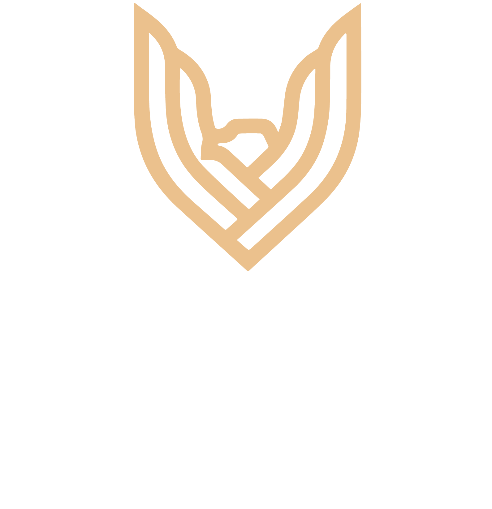 Aspirant Consulting Group